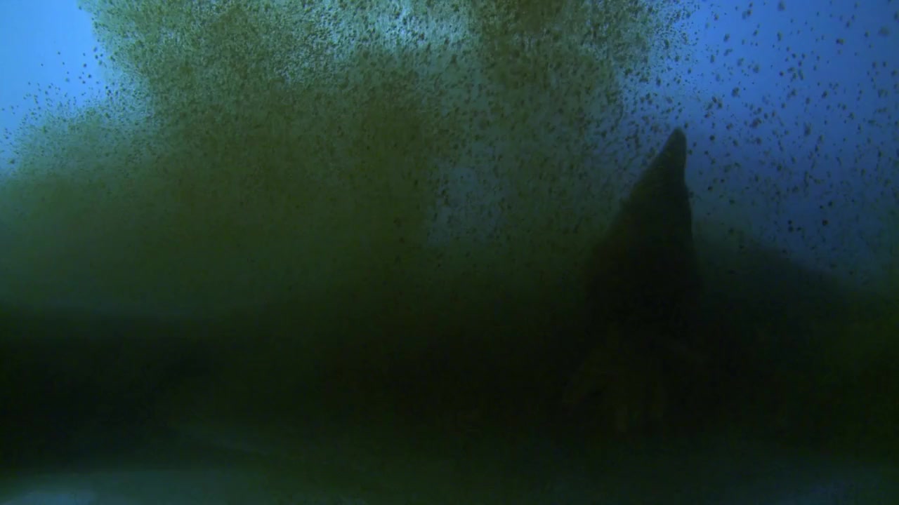 AUN: The Beginning and the End of All Things screenshot 3