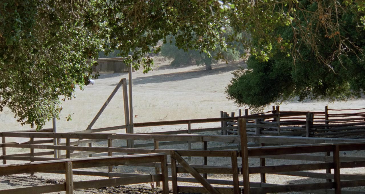 Auntie Lee's Meat Pies screenshot 1