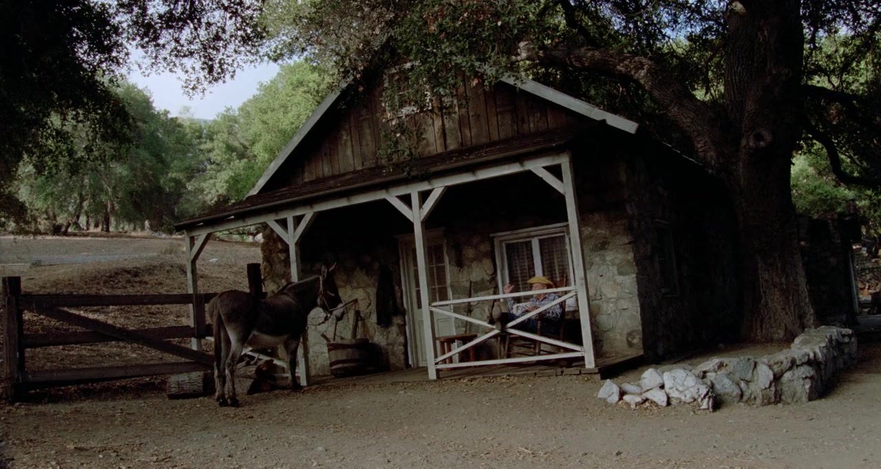 Auntie Lee's Meat Pies screenshot 2
