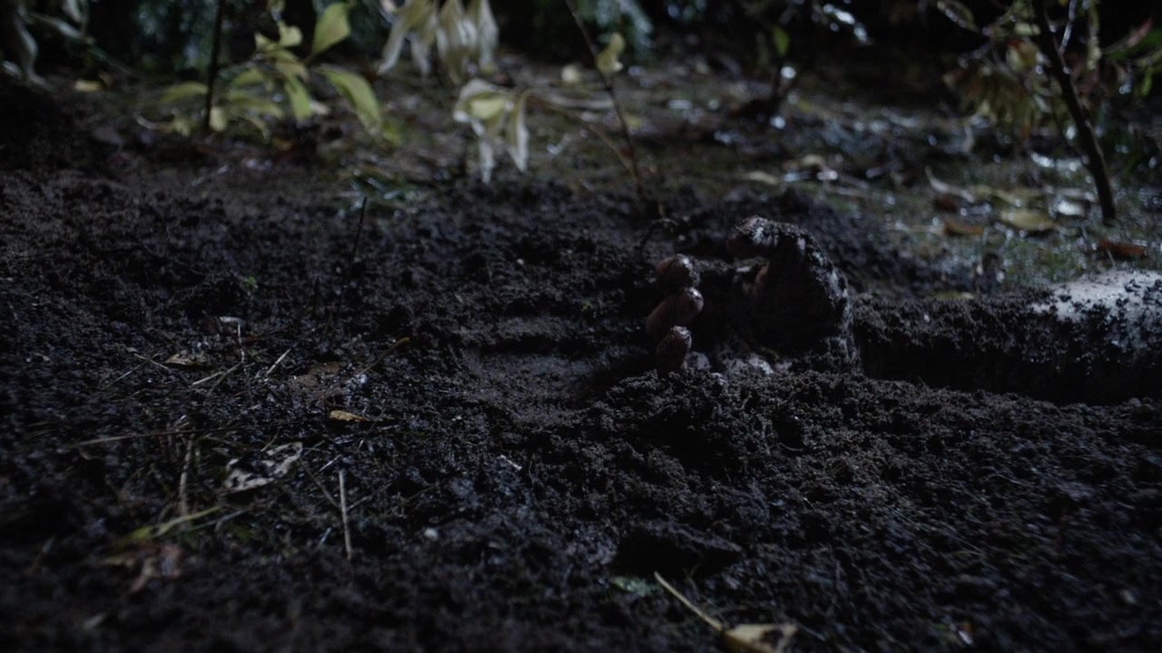 A Bone to Pick: An Aurora Teagarden Mystery screenshot 1