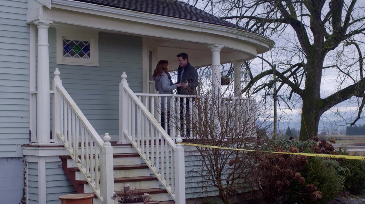 Dead Over Heels: An Aurora Teagarden Mystery screenshot 1