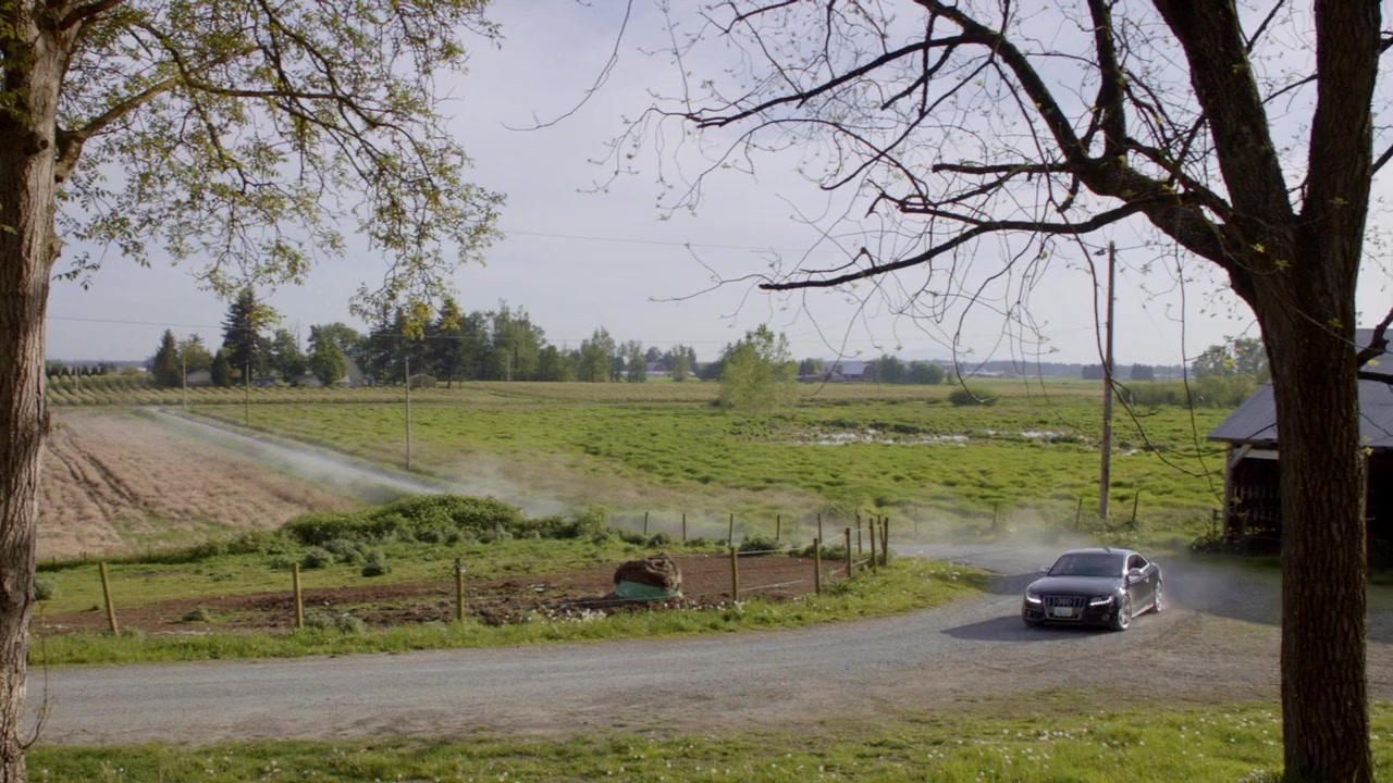 The Julius House: An Aurora Teagarden Mystery screenshot 1