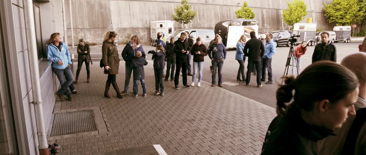 Aus Liebe zum Mustang screenshot 2