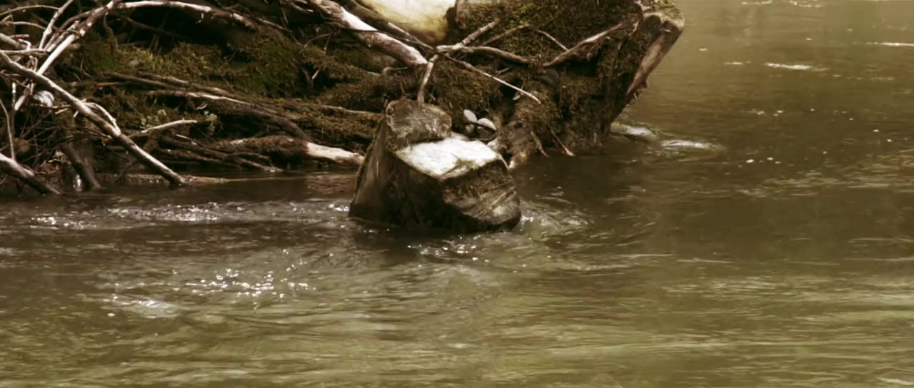 Aus Liebe zum Mustang screenshot 3