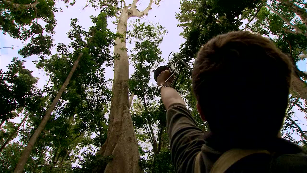 Australia: Land of Parrots screenshot 2