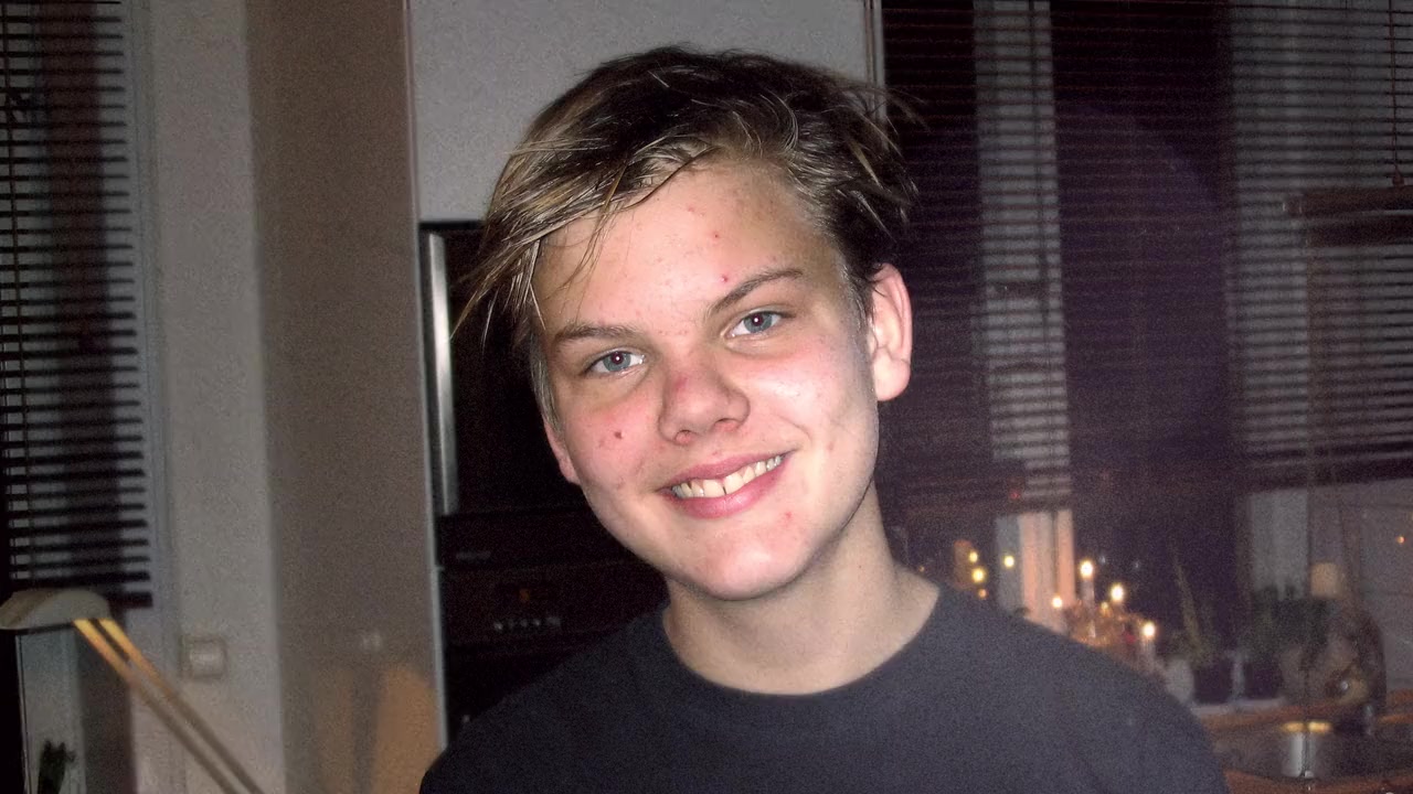 Avicii - I'm Tim screenshot 2
