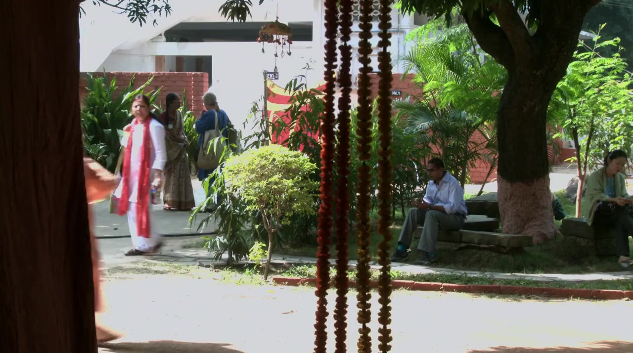 Awake: The Life of Yogananda screenshot 1