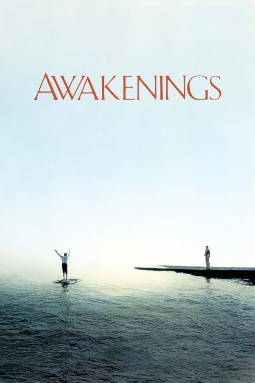 Awakenings (1990) poster
