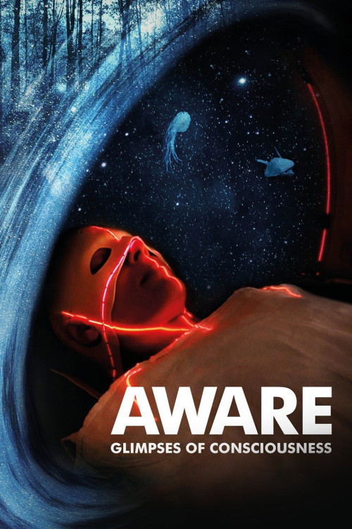 Aware: Glimpses of Consciousness (2021) poster