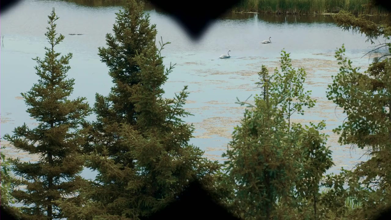 Away and Back screenshot 1