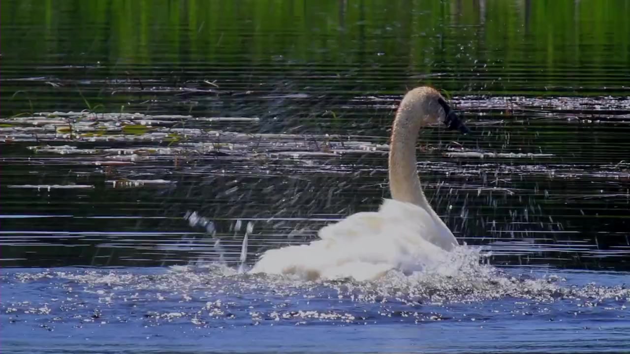 Away and Back screenshot 2