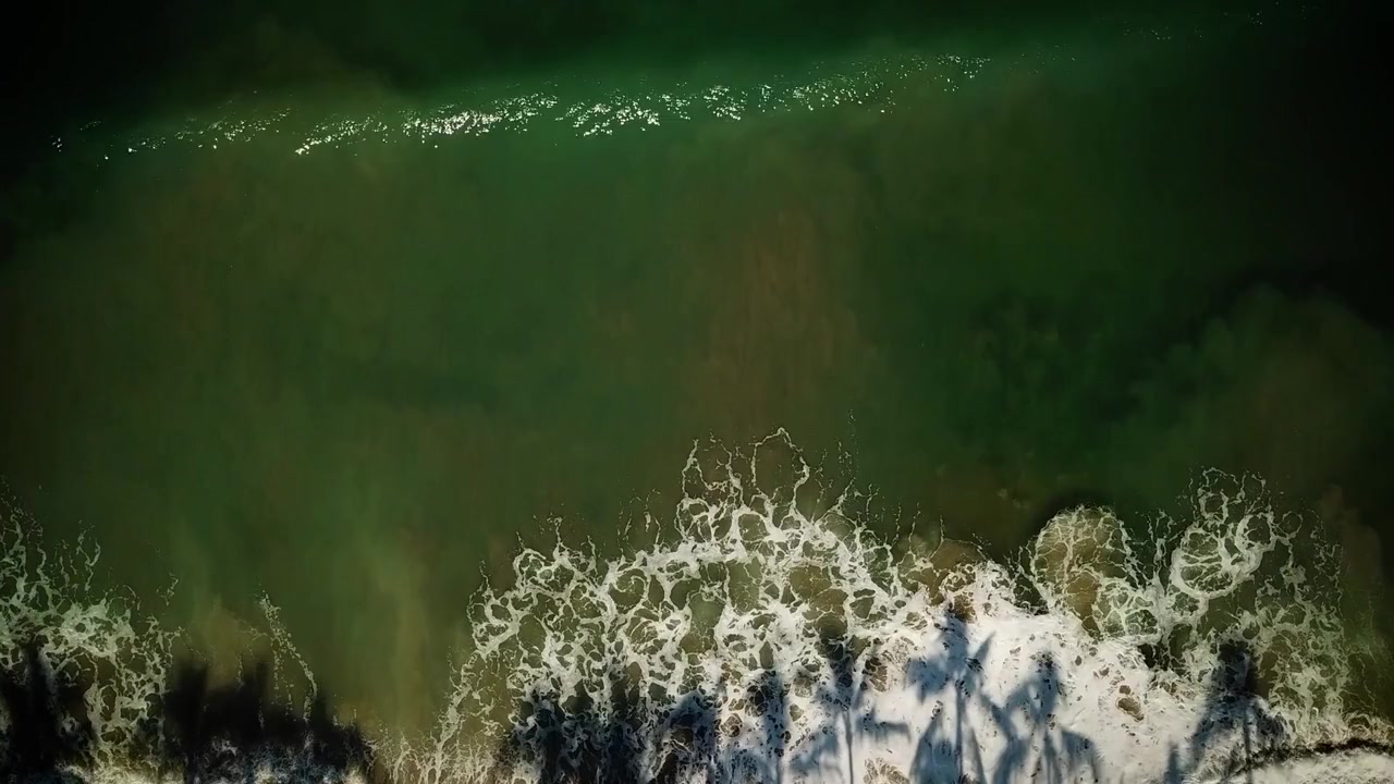 Ayahuasca and the Path of the Shaman screenshot 3
