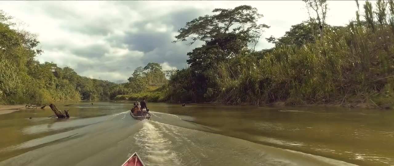Ayahuasca, Expansão da Consciência screenshot 2