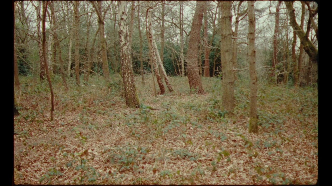 The Aryan Papers screenshot 1