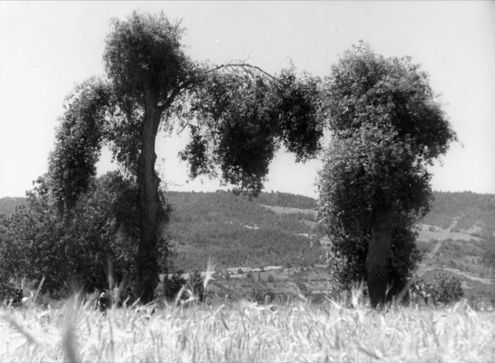 Aysel: Batakli Damin Kizi screenshot 2