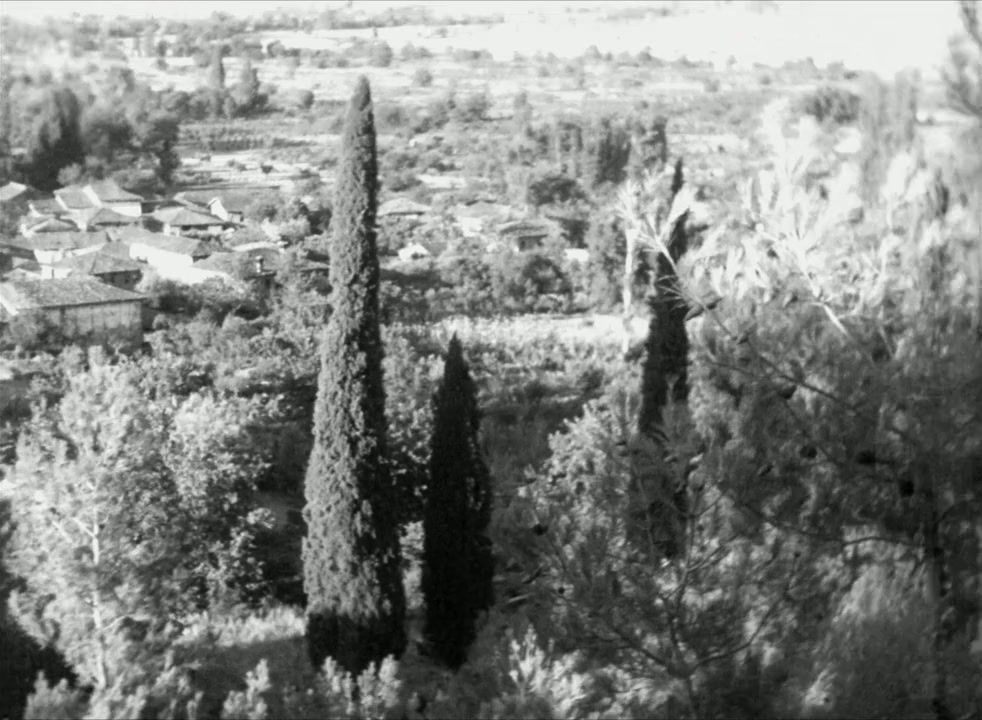 Aysel: Batakli Damin Kizi screenshot 3