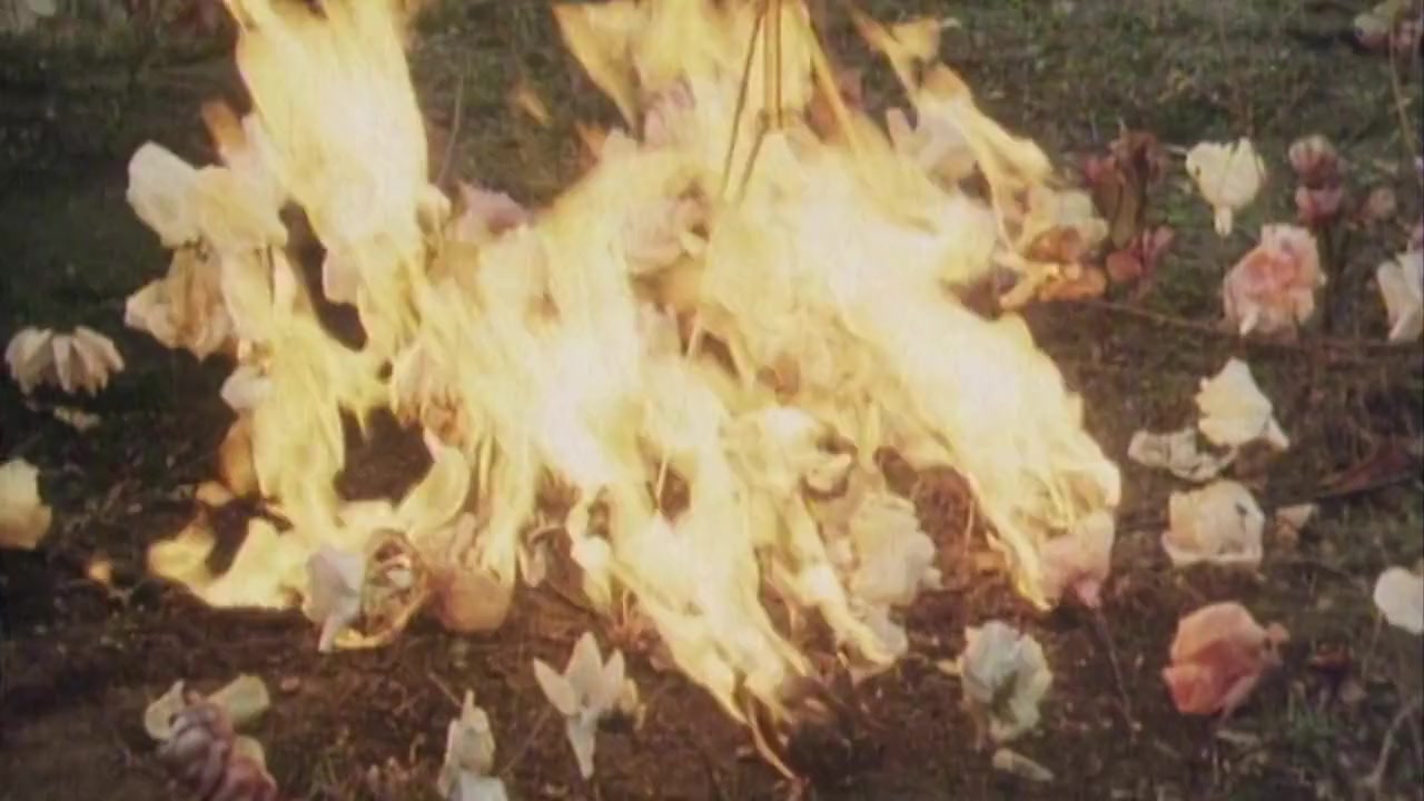 B-Movie: Lust & Sound in West-Berlin 1979-1989 screenshot 2