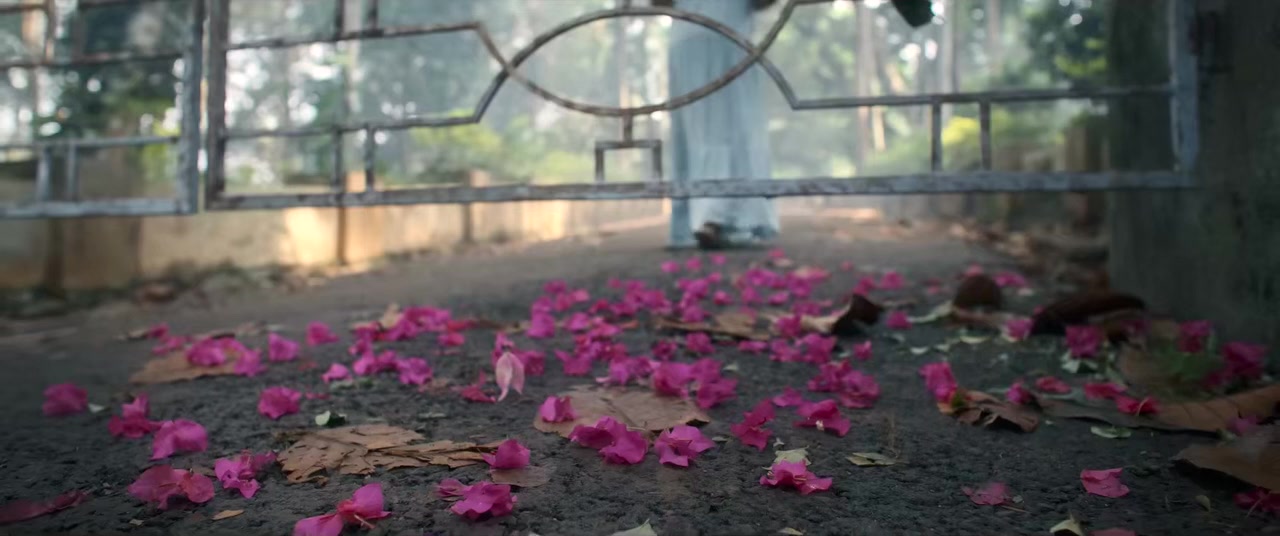Bougainvillea screenshot 2