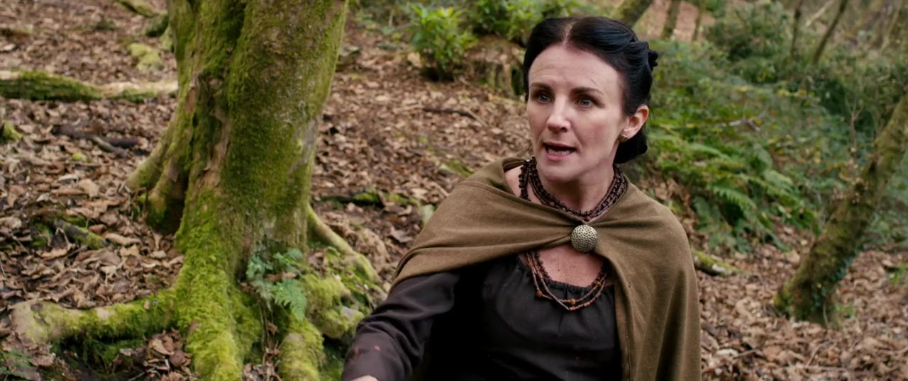 Boudica: Rise of the Warrior Queen screenshot 2