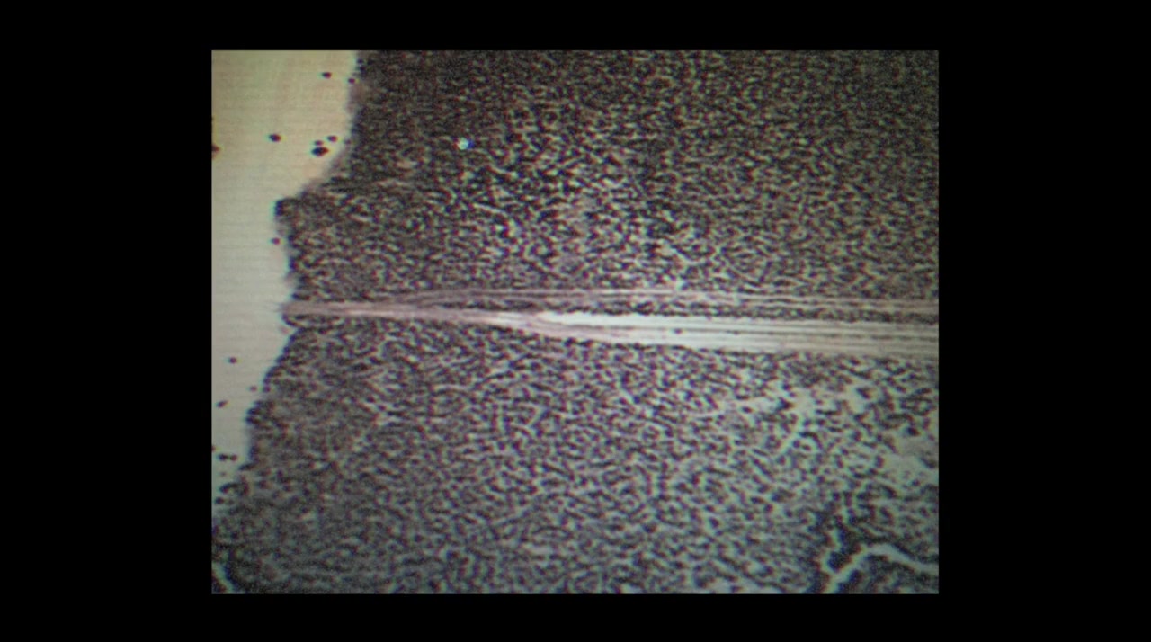 Bob Lazar: Area 51 & Flying Saucers screenshot 2