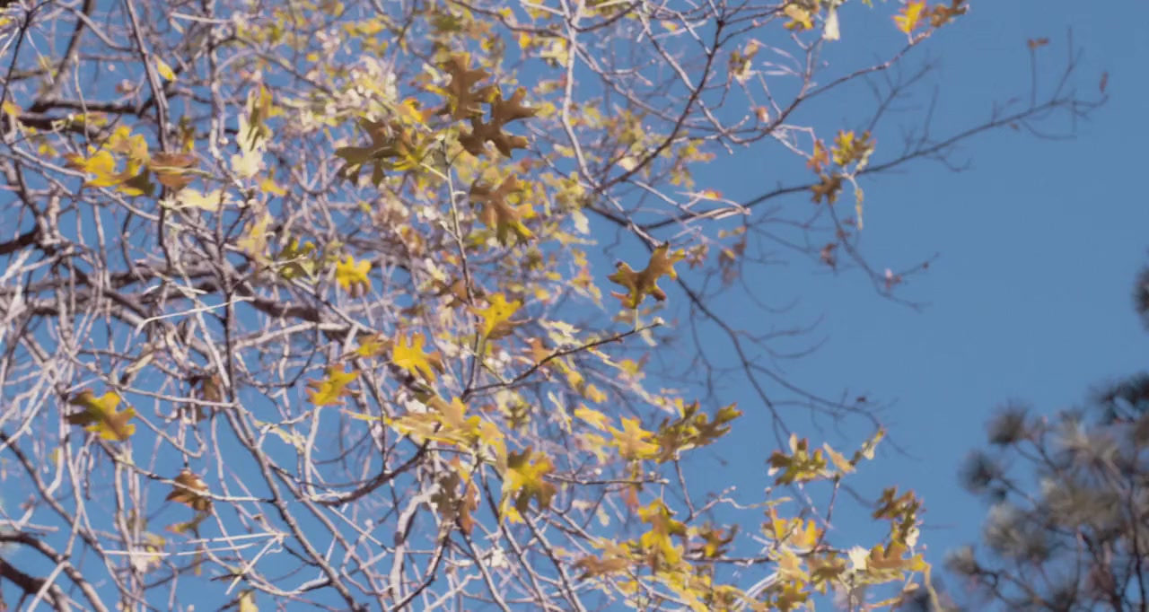 Body at Brighton Rock screenshot 3
