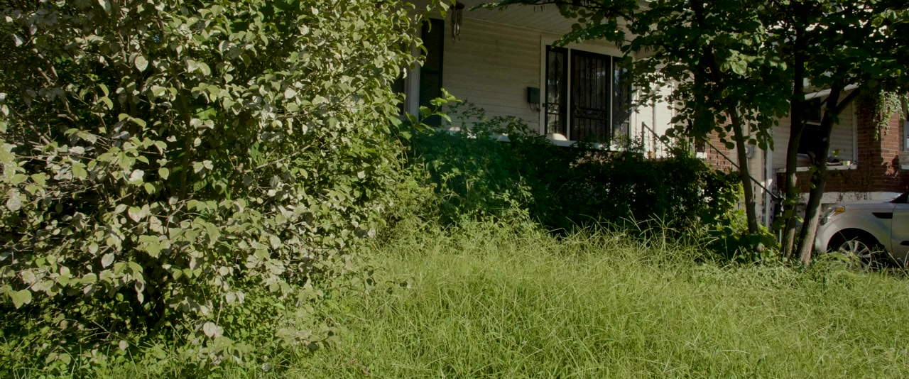 Body Swap screenshot 1