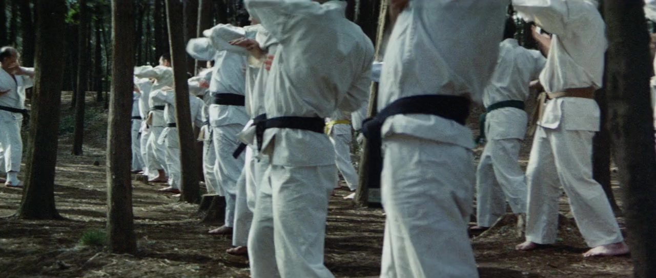 Bodigâdo Kiba screenshot 2