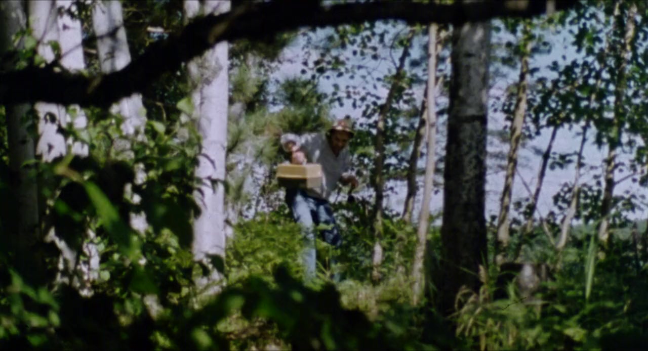Bog screenshot 1