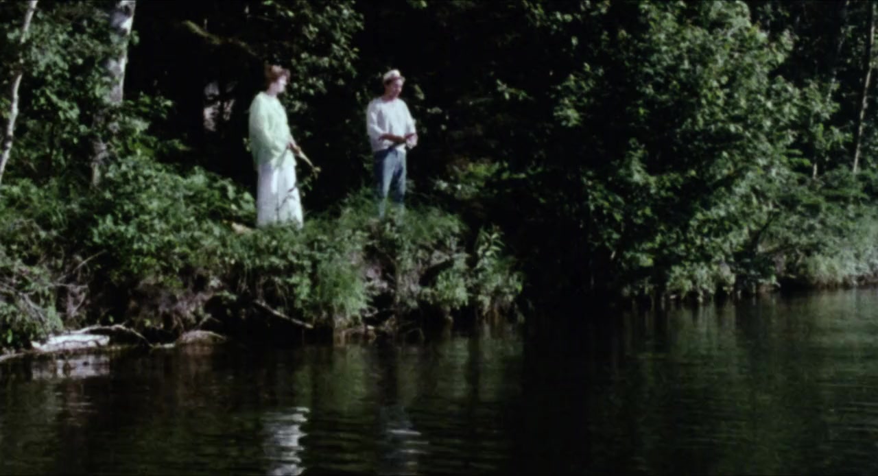 Bog screenshot 2