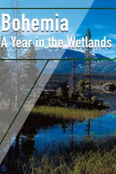 Bohemia: A Year in the Wetlands (2011) poster
