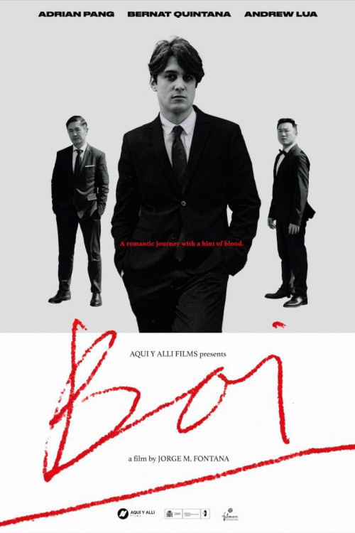 Boi (2019) poster