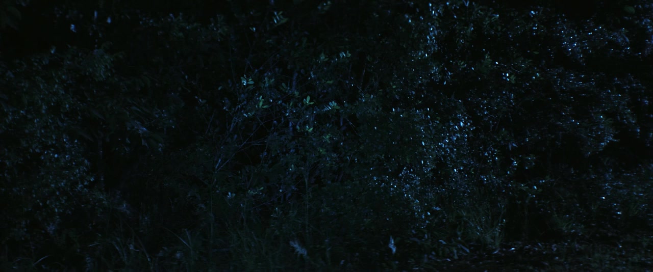 Bone Face screenshot 1
