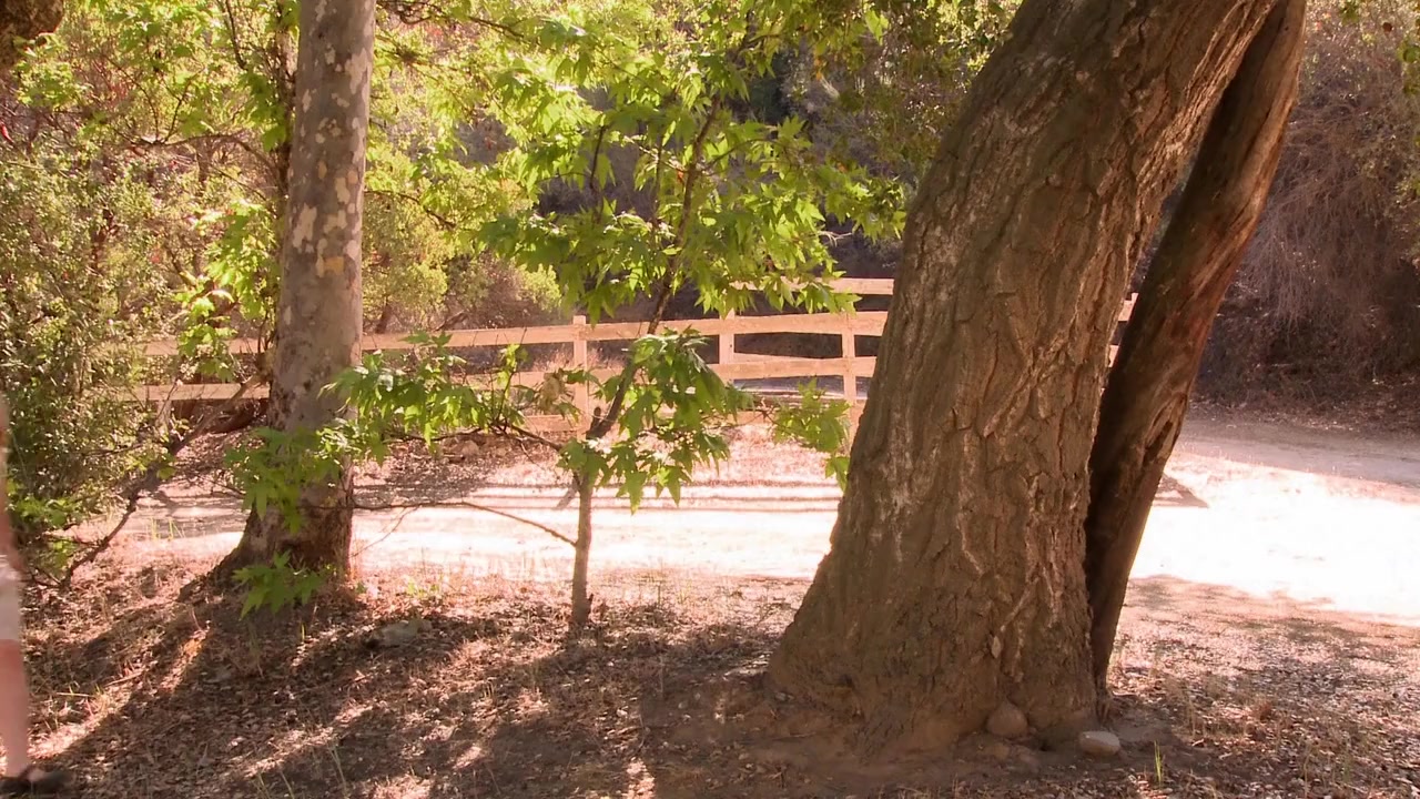 Bonnie & Clyde: Justified screenshot 1
