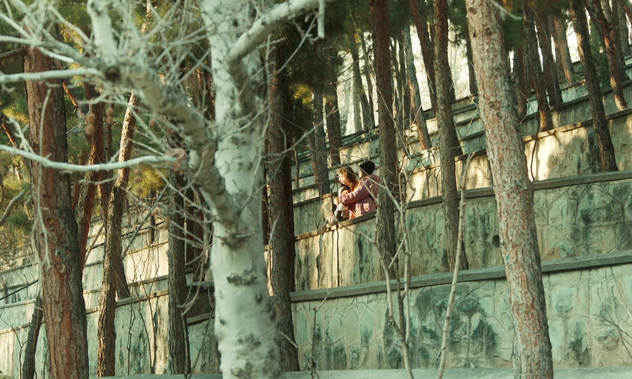 Boomerang screenshot 1
