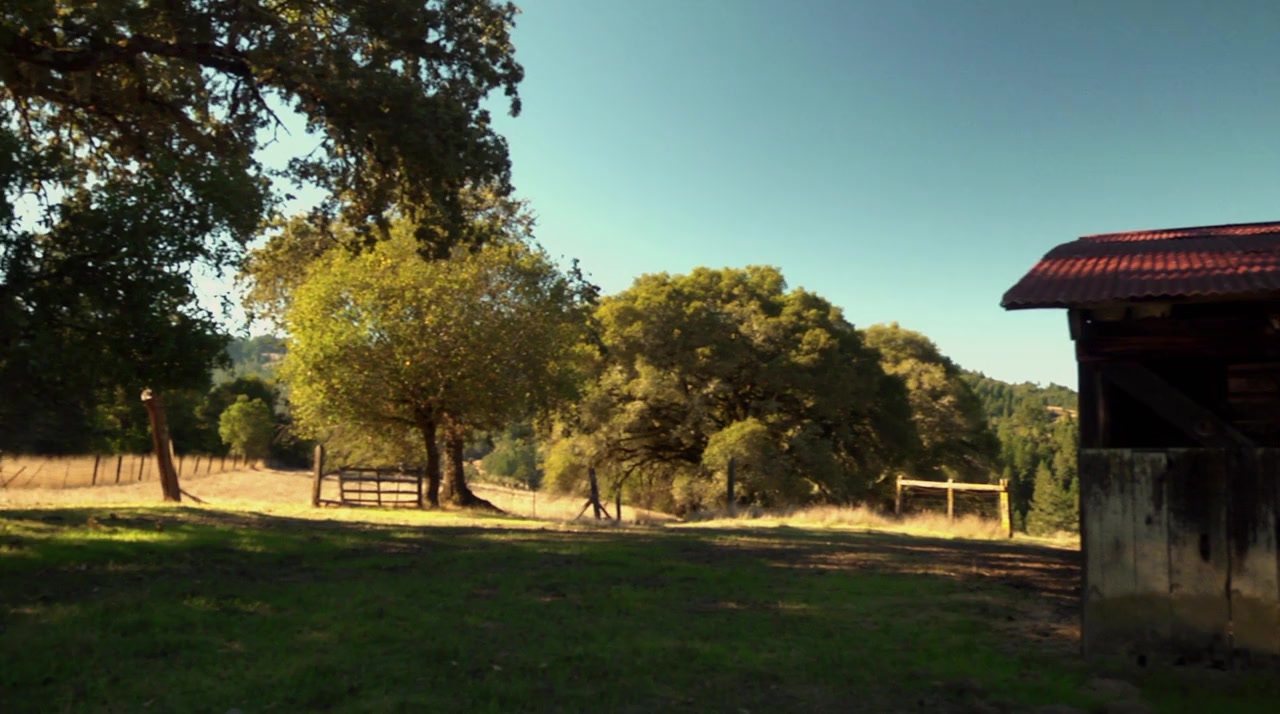 Boonville Redemption screenshot 3