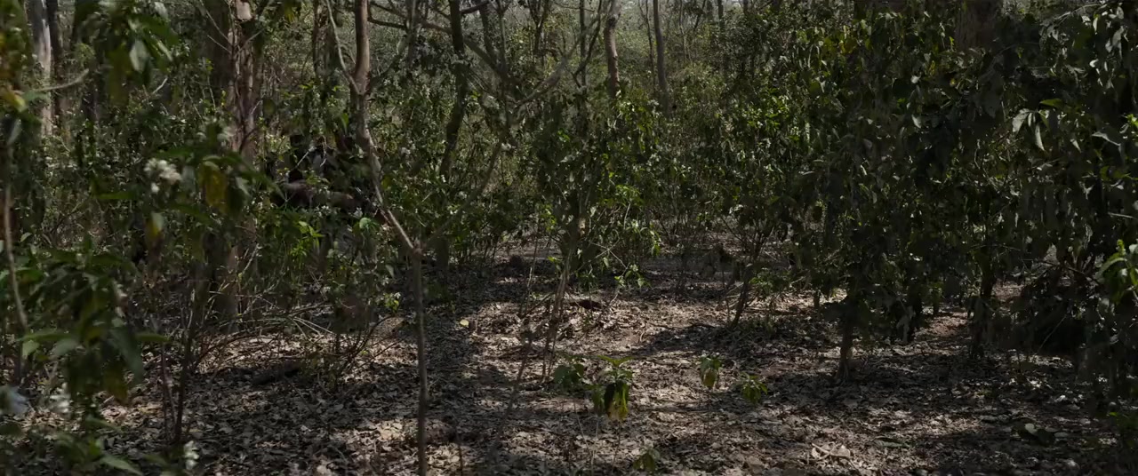 Border 2 screenshot 1