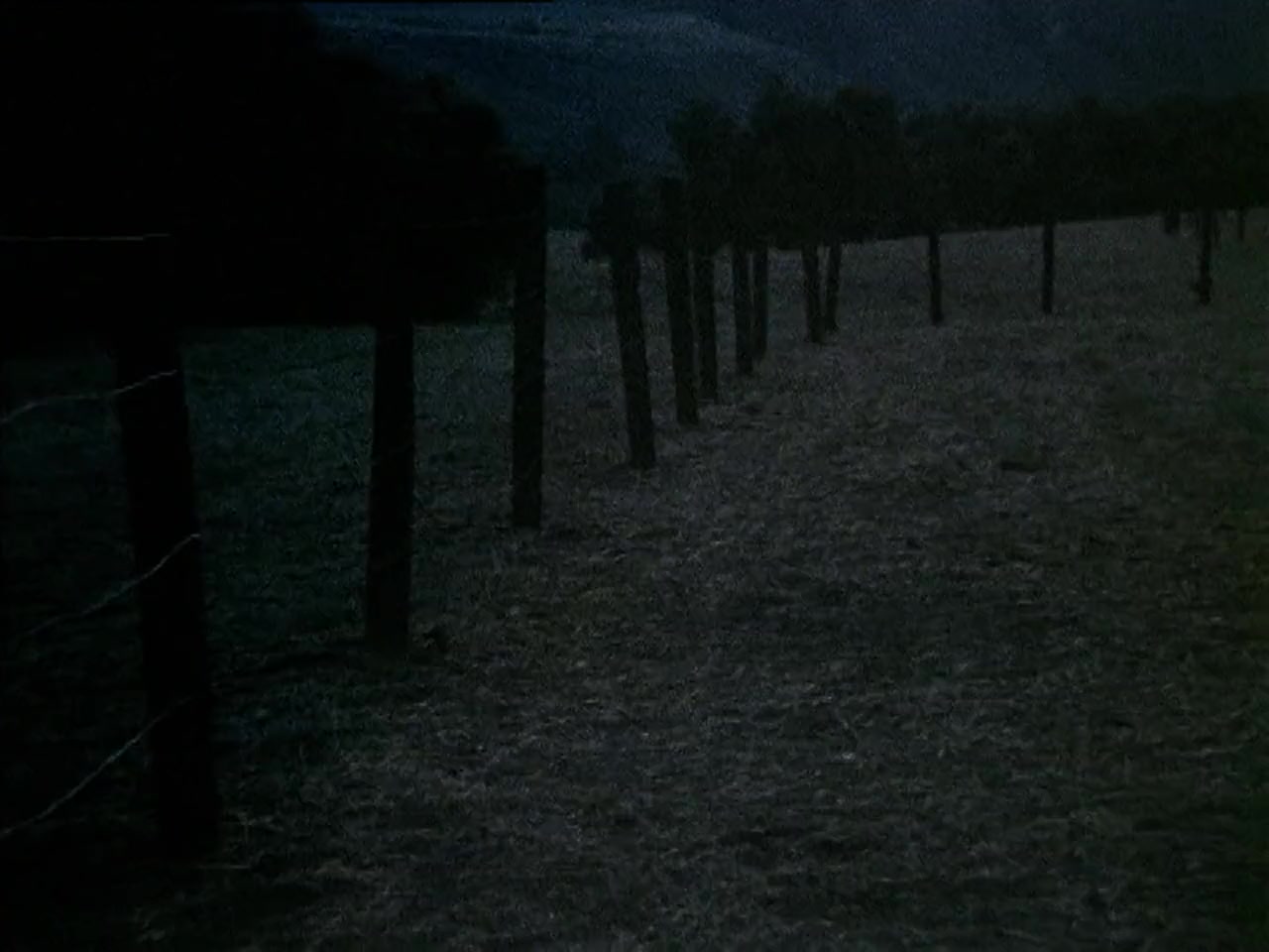 Borderline screenshot 2