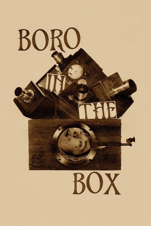Boro in the Box (2011) poster