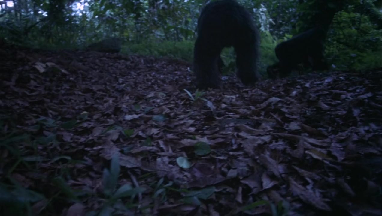 Born to Be Wild screenshot 3