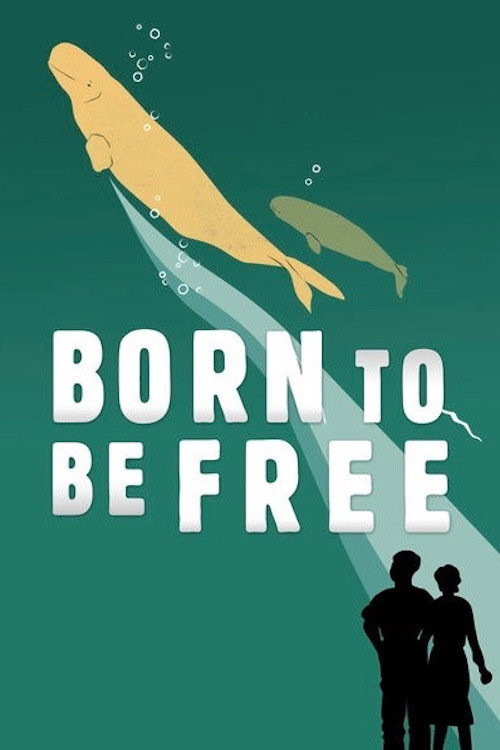 Born to Be Free (2016) poster