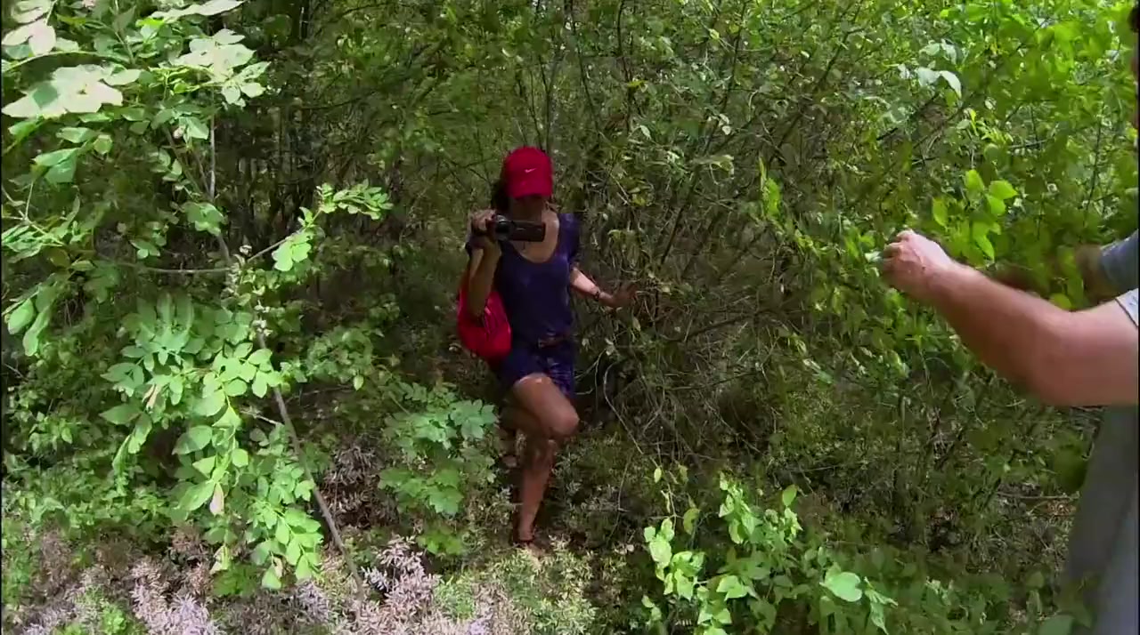 Born to Be Free screenshot 1