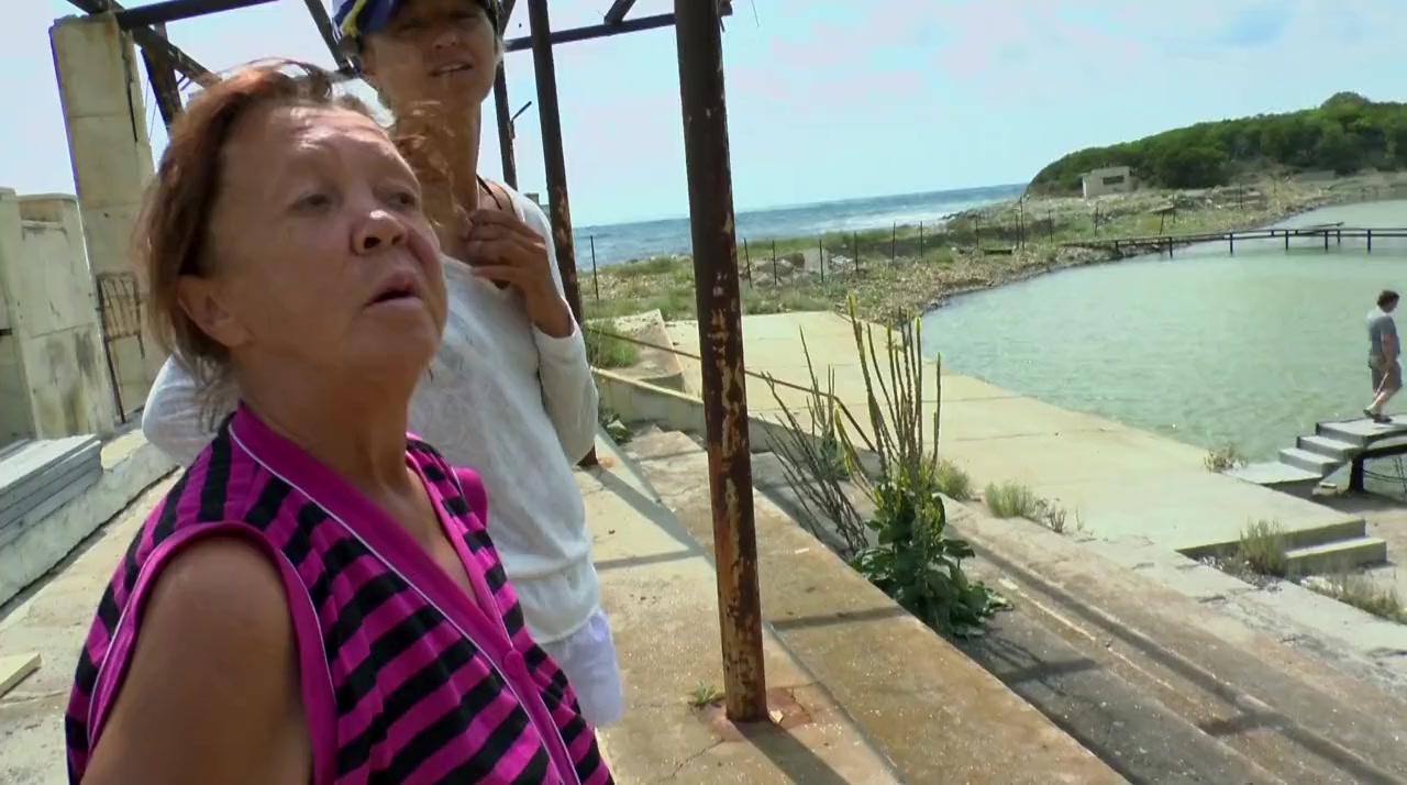 Born to Be Free screenshot 3