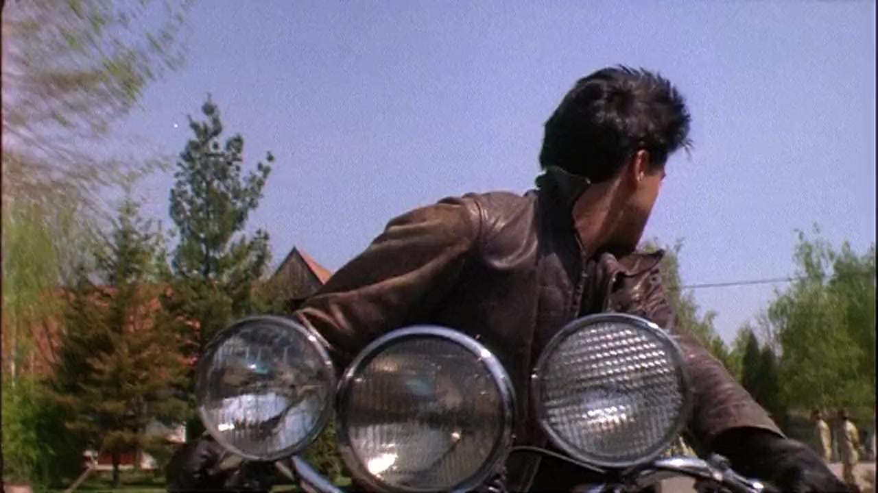 Born to Ride screenshot 2