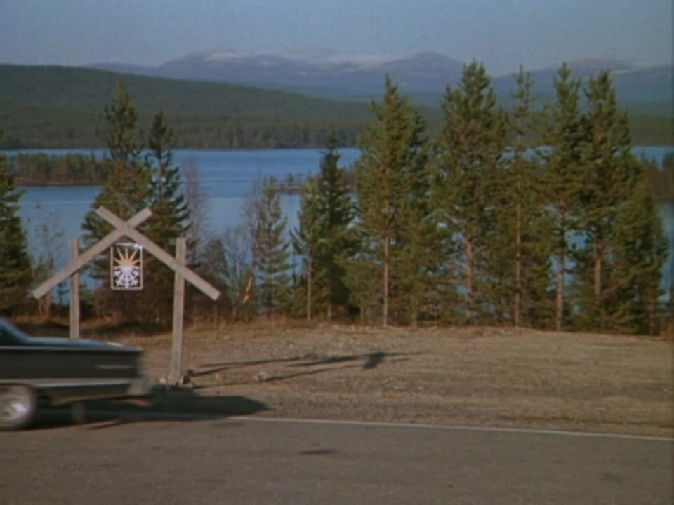 Born American screenshot 1