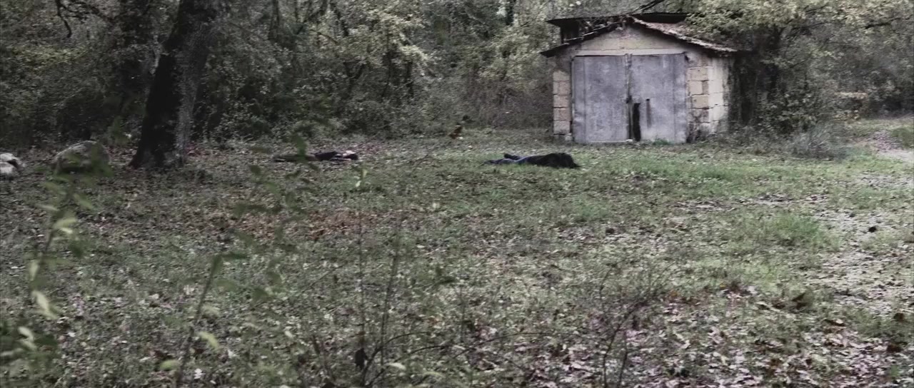 Nati morti screenshot 2