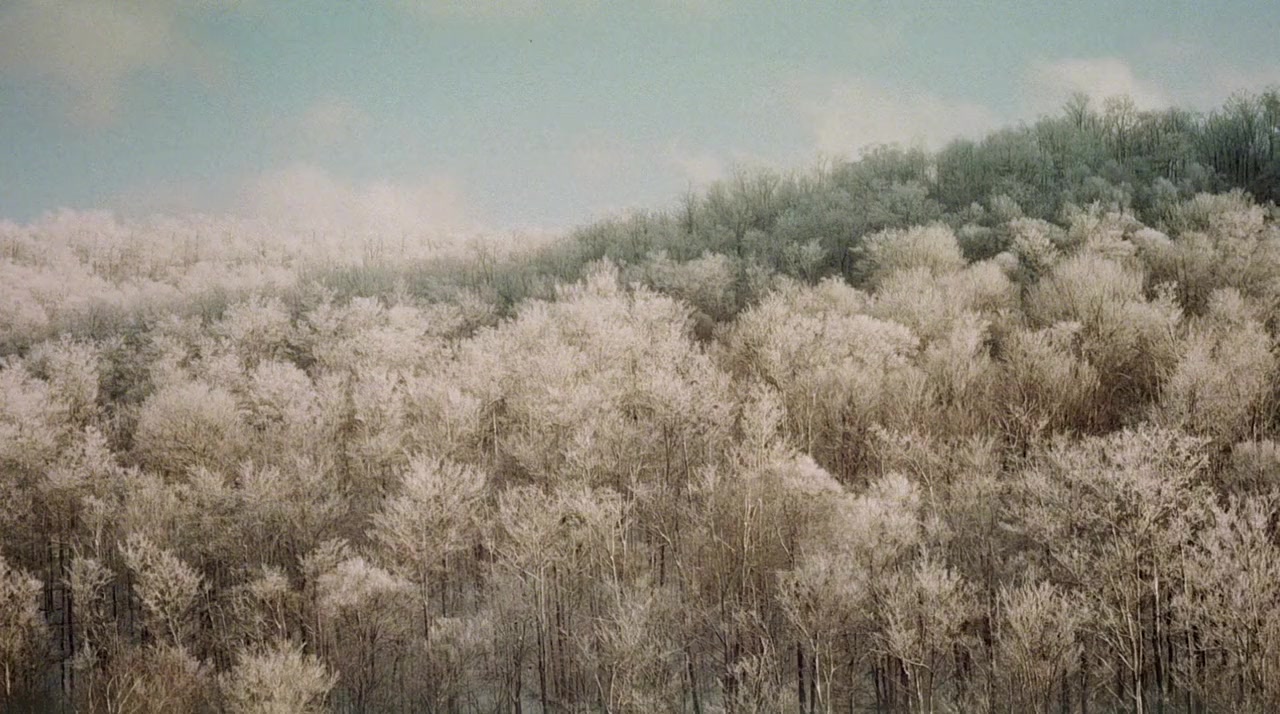 Born in a Ballroom screenshot 1