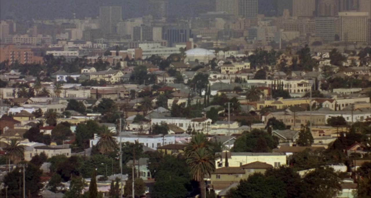 Born in East L.A. screenshot 1