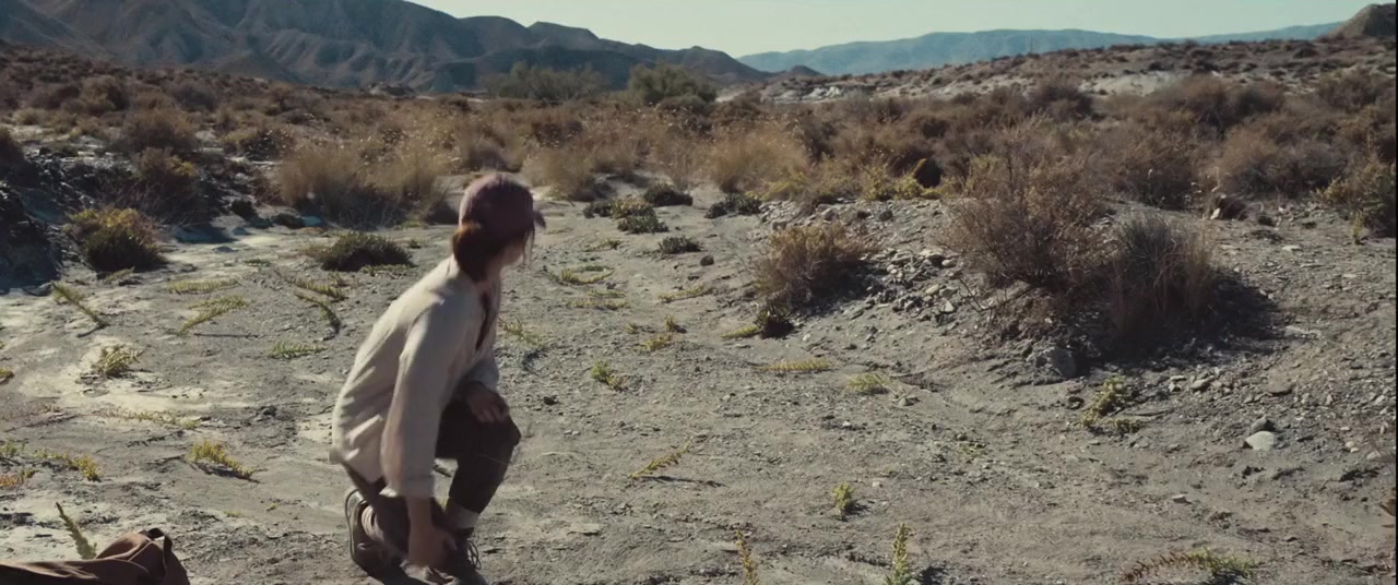 Borrego screenshot 1
