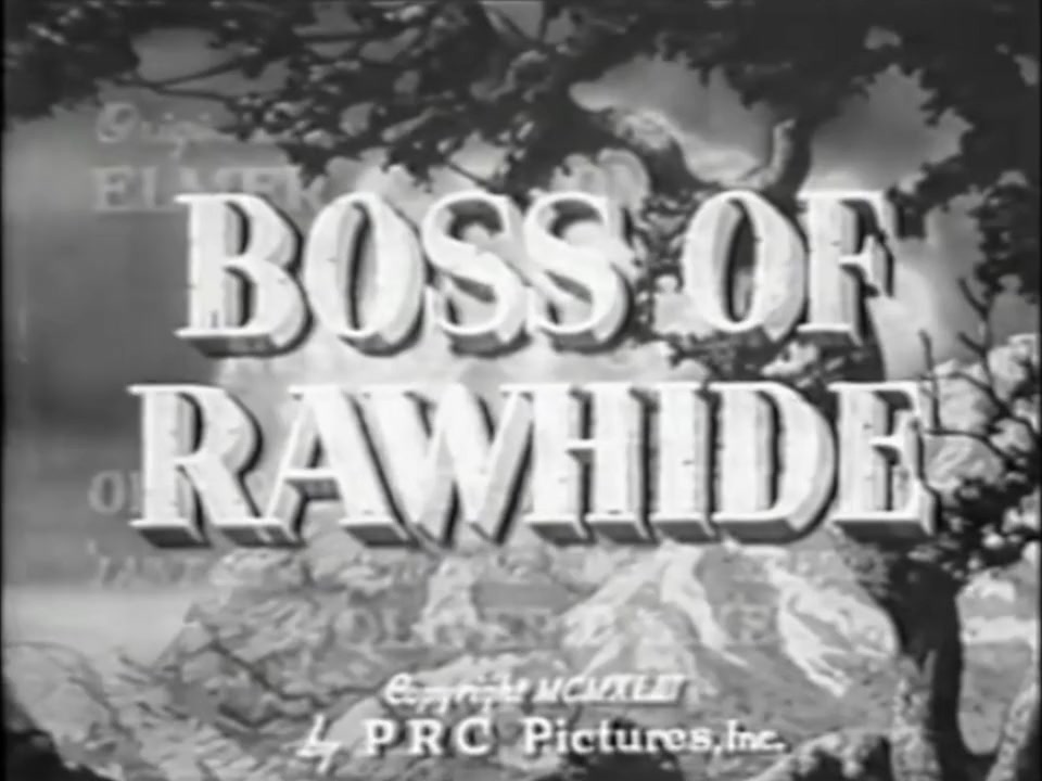 Boss of Rawhide screenshot 1