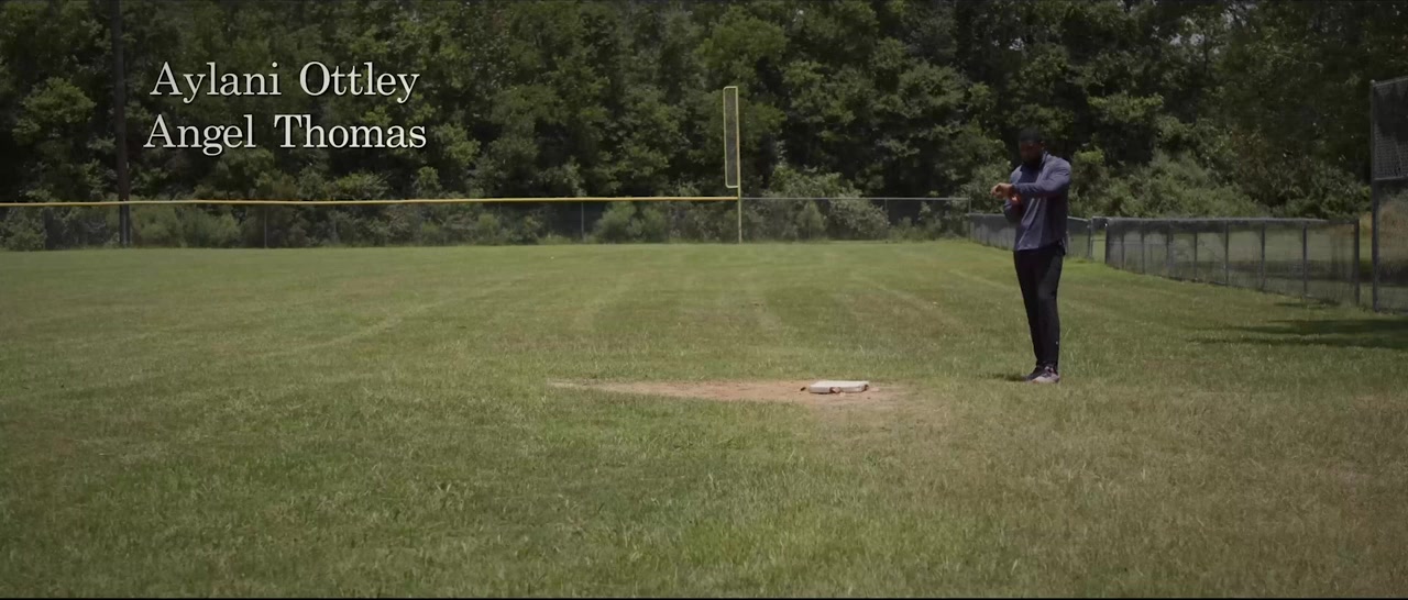 Batter's Box screenshot 1